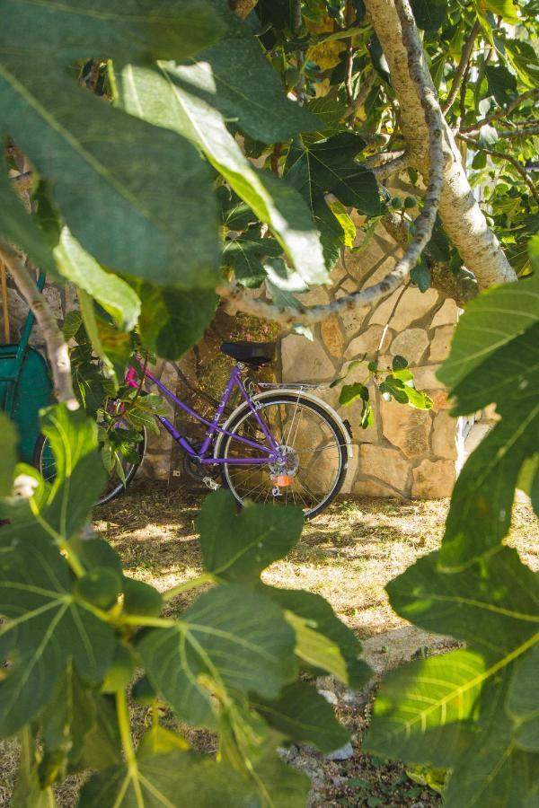 Apartmani Alic Šibenik Kültér fotó